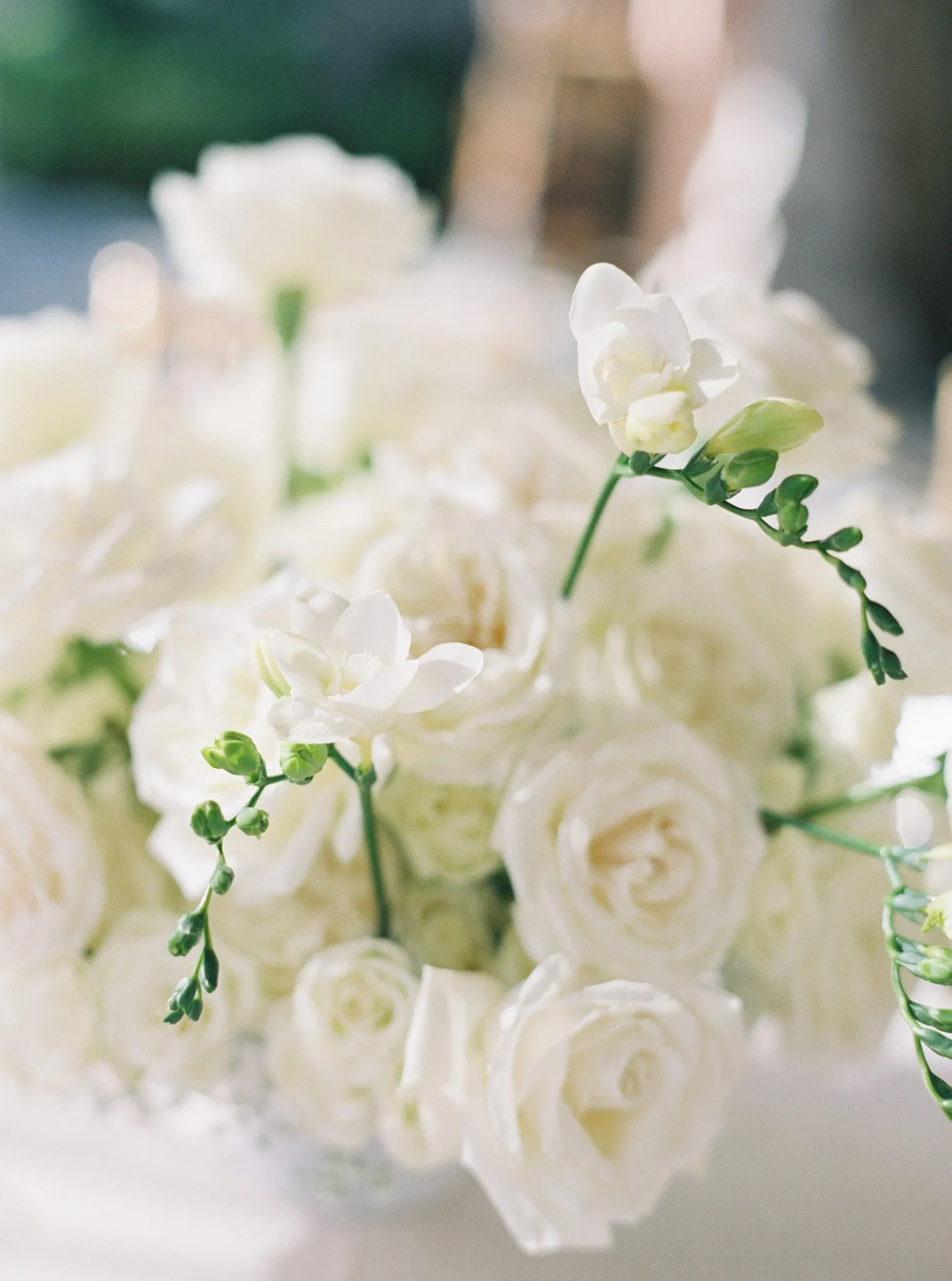 Wedding party at The Broadmoor